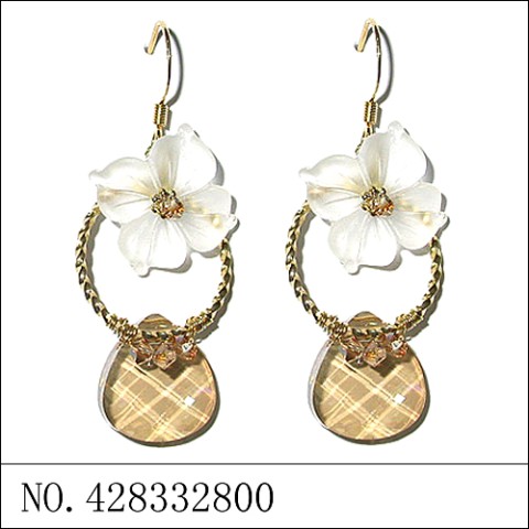 Earrings Brown