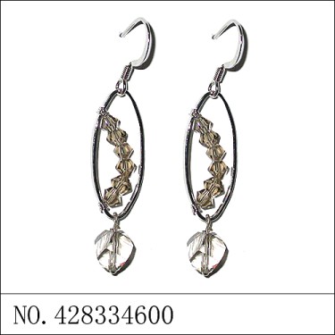 Earrings Gray