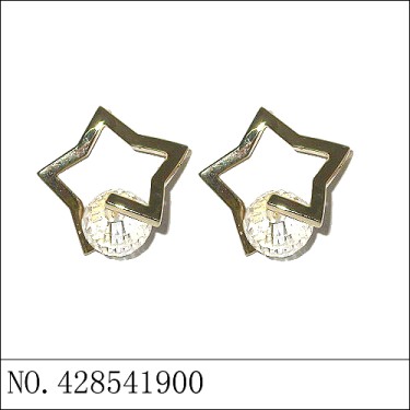 Earrings White