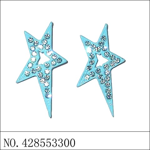 Earrings Blue