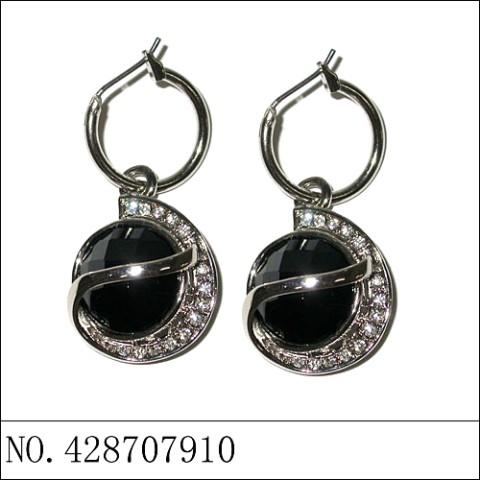 Earrings Black