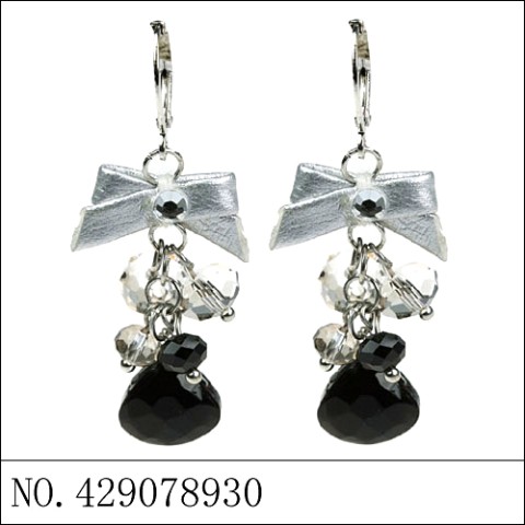 Earrings Silver