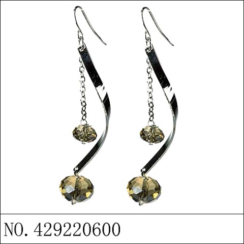 Earrings Gray