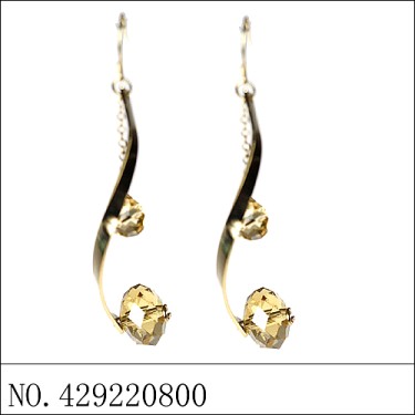 Earrings Brown