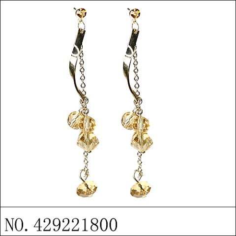 Earrings Brown