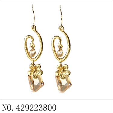 Earrings Brown