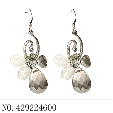 Earrings Gray