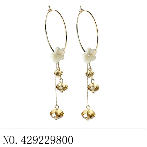 Earrings Brown