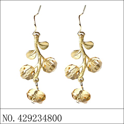 Earrings Brown