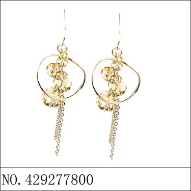 Earrings Brown