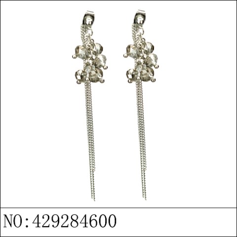 Earrings Gray