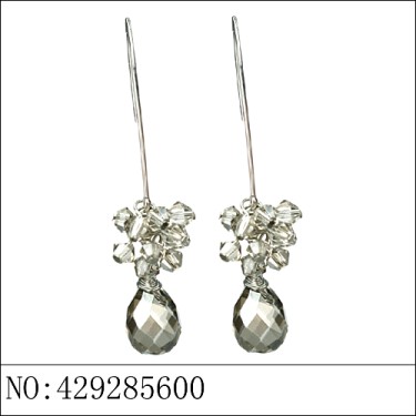 Earrings Gray