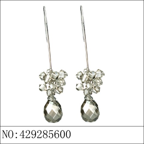 Earrings Gray