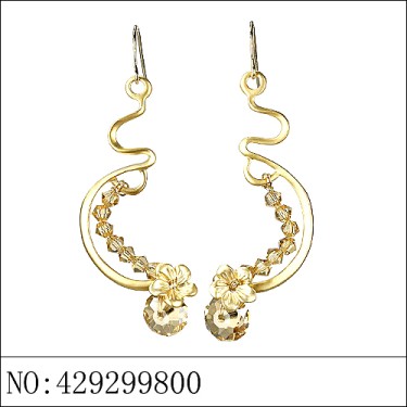 Earrings Brown