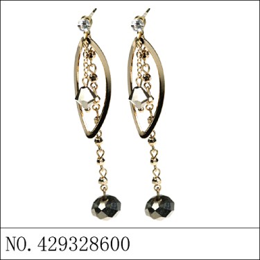 Earrings Gray