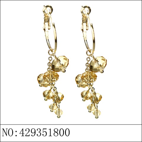 Earrings Brown