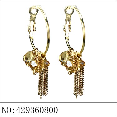 Earrings Brown