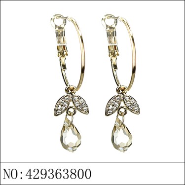 Earrings Brown