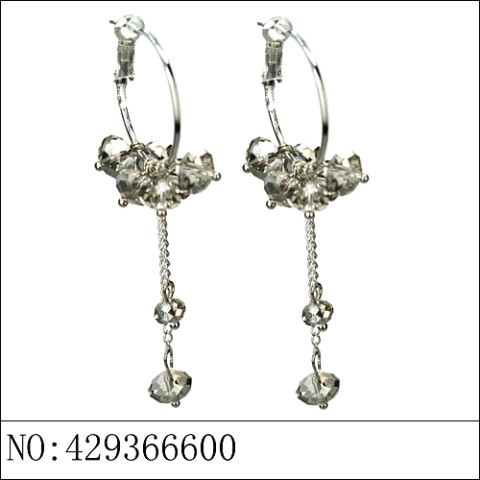 Earrings Gray