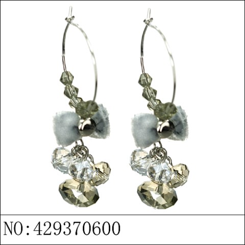 Earrings Gray