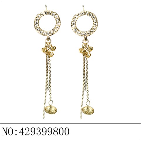 Earrings Brown