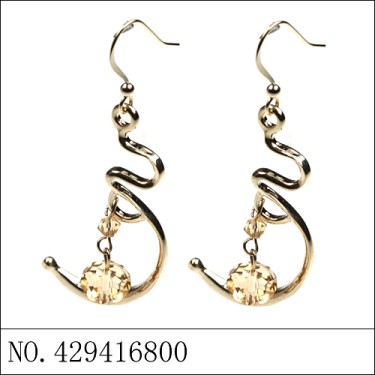 Earrings Brown