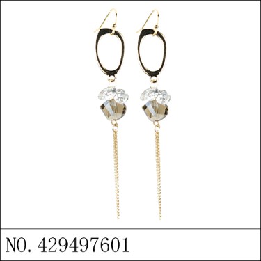 Earrings Gray