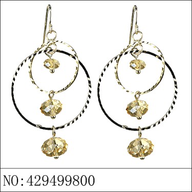 Earrings Brown