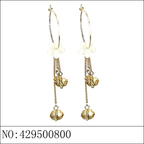 Earrings Brown