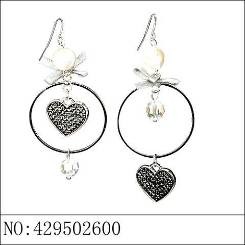 Earrings Gray