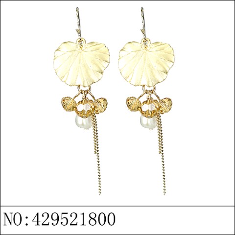 Earrings Brown