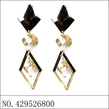 Earrings Brown