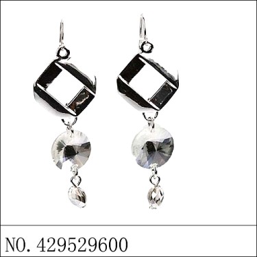 Earrings Gray