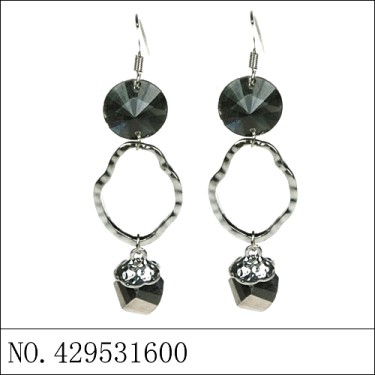 Earrings Gray