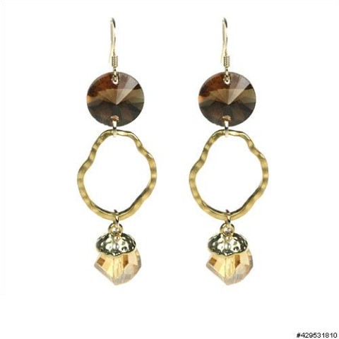 Earrings Brown