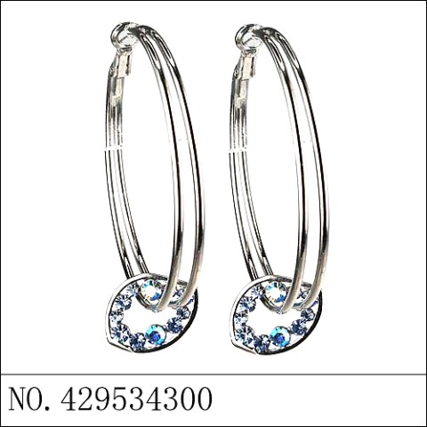 Earrings Blue