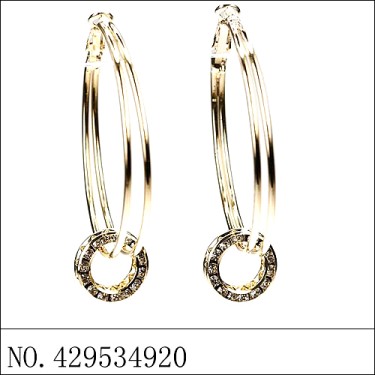 Earrings Gold