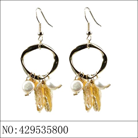 Earrings Brown