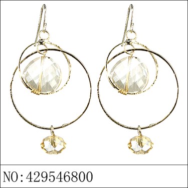 Earrings Brown