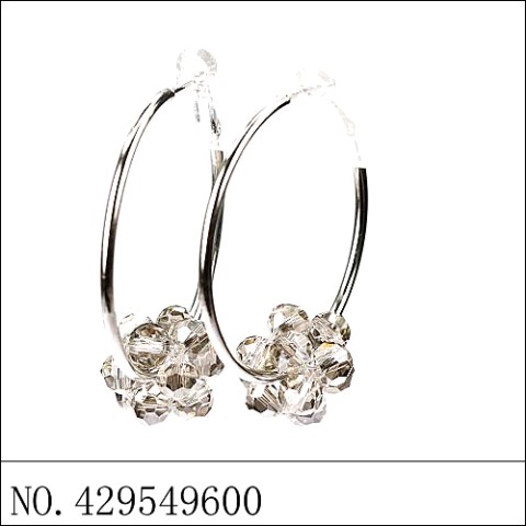 Earrings Gray