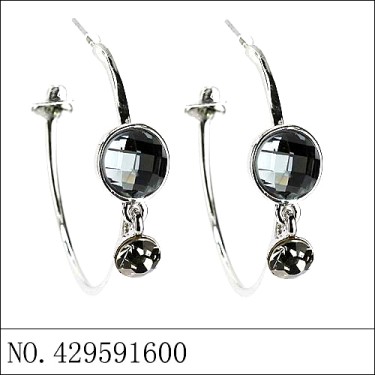 Earrings Gray