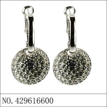 Earrings Gray