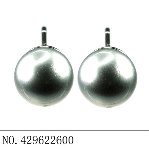 Earrings Gray