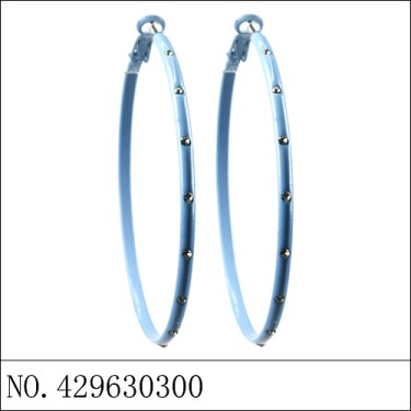 Earrings Blue