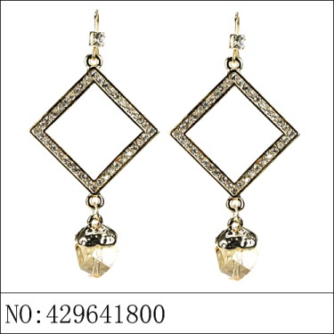 Earrings Brown