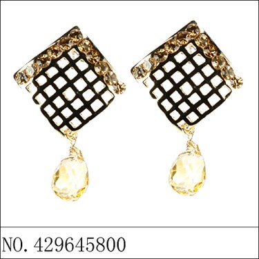 Earrings Brown