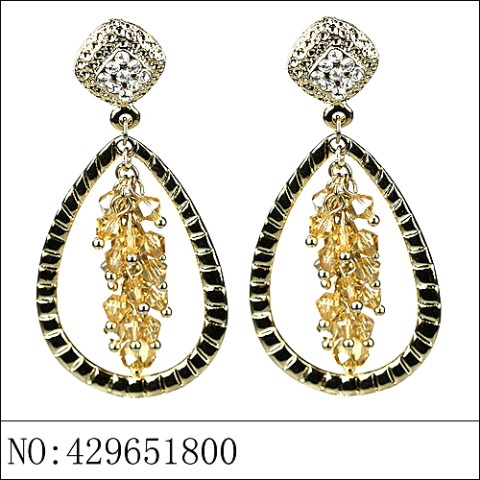 Earrings Brown