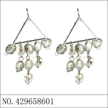 Earrings Gray