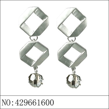 Earrings Gray