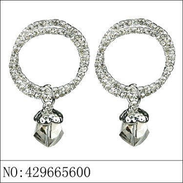 Earrings Gray